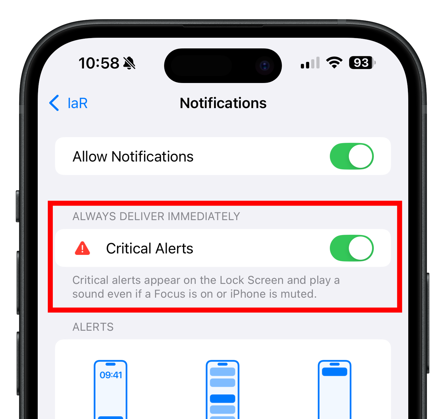 Critical Alerts iOS.png