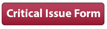 Crit Issue Form Button.png