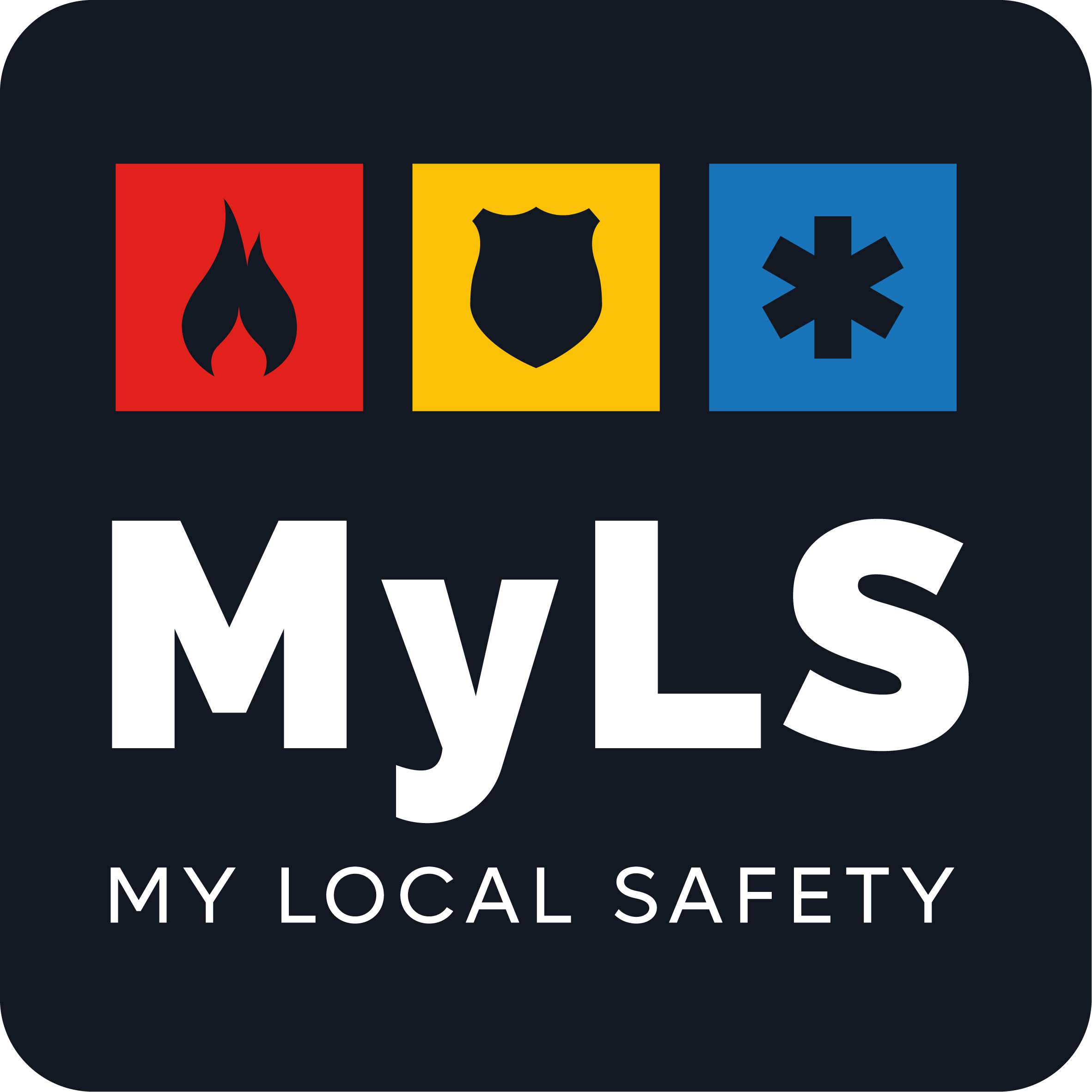 MyLocalSafety_Logo-01.png